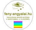 Logo of the website feny-angyalai.hu